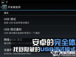 USB調(diào)試不見了怎么辦？電腦圖文設計找回隱藏的USB調(diào)試模式指南